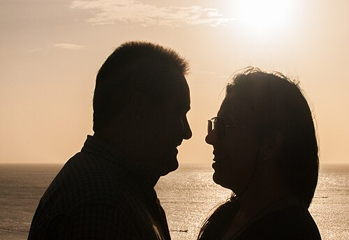 A couple facing each other at sunset